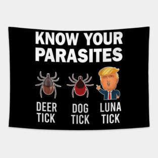 Anti Trumpism, Know Your Parasites, Vote Removes Stubborn Orange Stains Tapestry