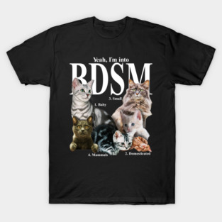 Funny Cats BDSM Slang Gift For Cat Lovers T-Shirt