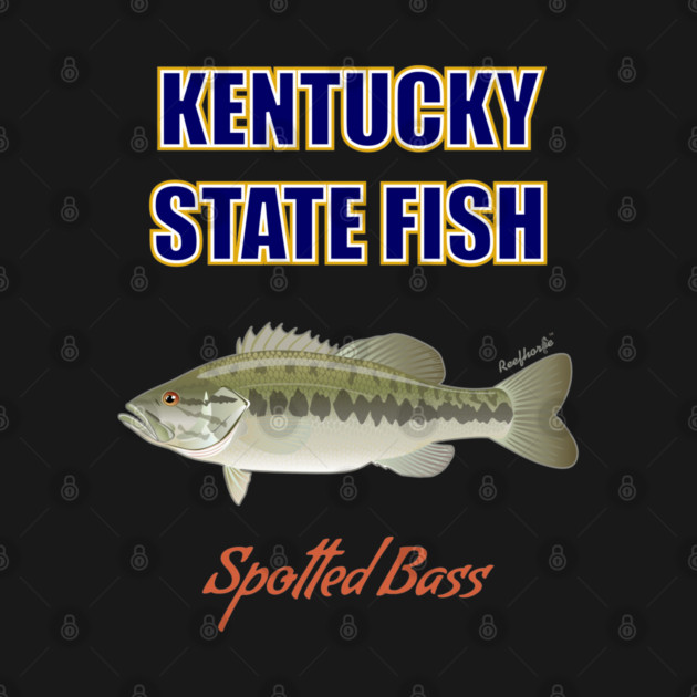 Kentucky State Freshwater Fish - Spotted Bass by Reefhorse