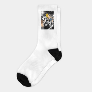 Beavis And Butthead Mosh Pit Socks