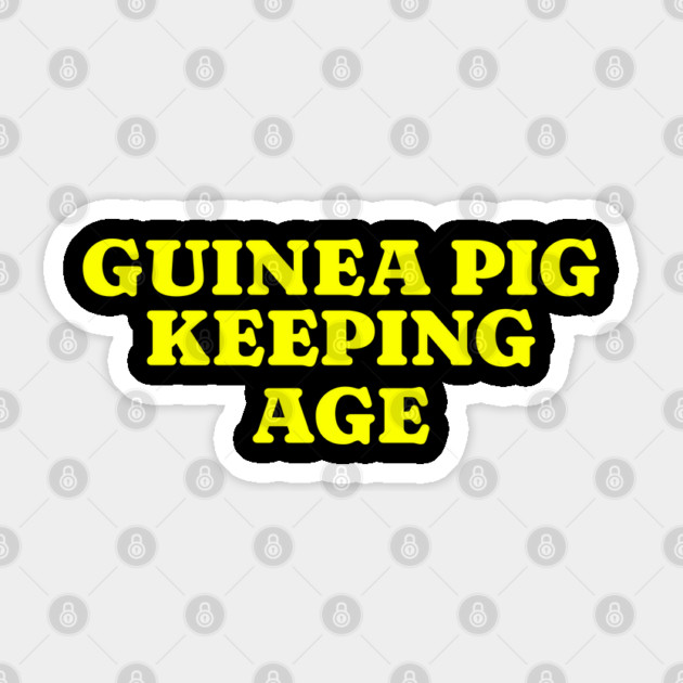 Funny Meme Guinea Pig Keeping Age Funny Guinea Pig Lover Sticker by Yesteeyear