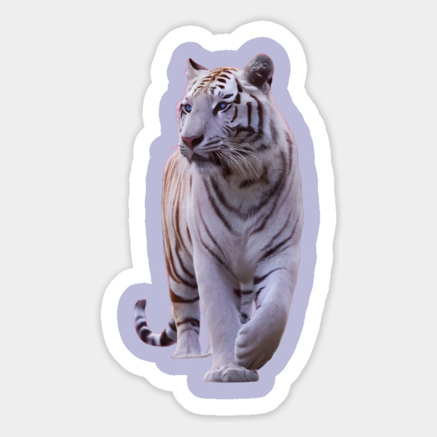 Beautiful White Stripe Gold Tiger Magnet by animegirlnft