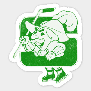 Defunct Hockey Team Salem Raiders ACHL Salem Virginia Hockey Team Sticker