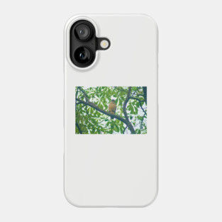 Ala roadside hawk Phone Case