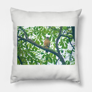 Ala roadside hawk Pillow