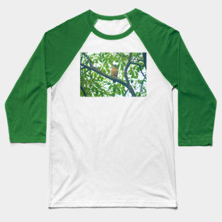 Ala roadside hawk Baseball T-Shirt