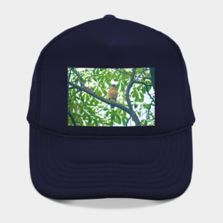 Ala roadside hawk Hat