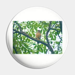 Ala roadside hawk Pin