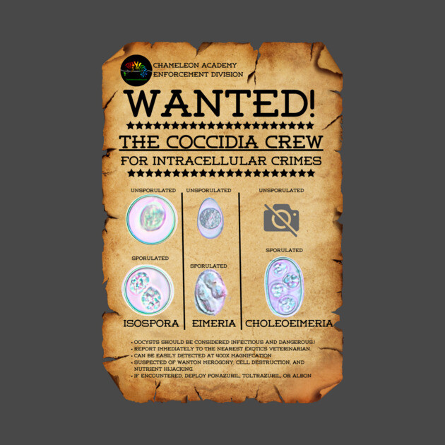 Coccidia Wanted poster by Chameleon Academy