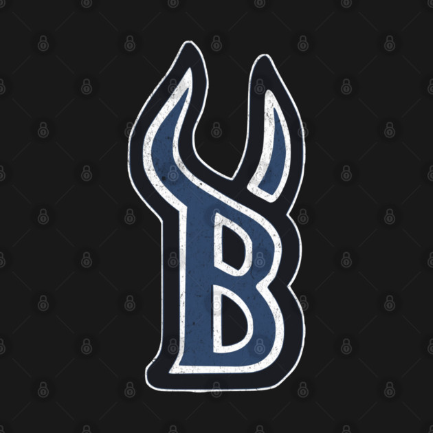 Defunct Hockey Team Billings Bulls Hockey Montana Hockey Team by Yesteeyear