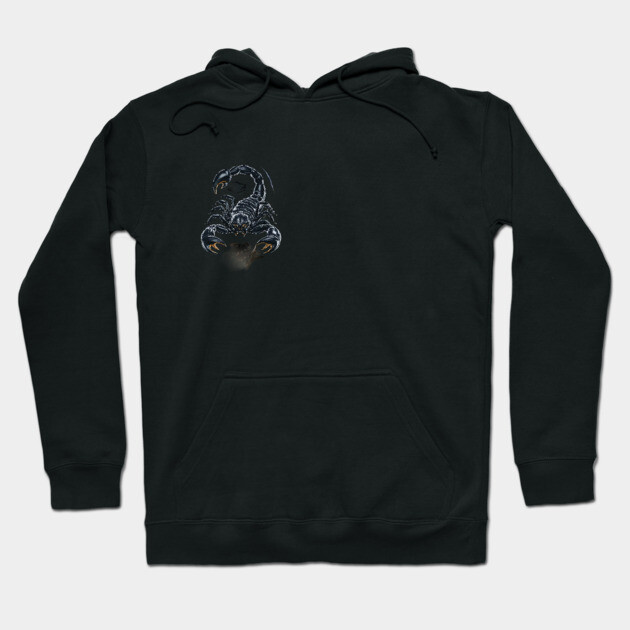 The Scorpion is Predominantly Black Hoodie by animegirlnft