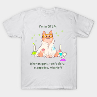 i‘m in STEM T-Shirt
