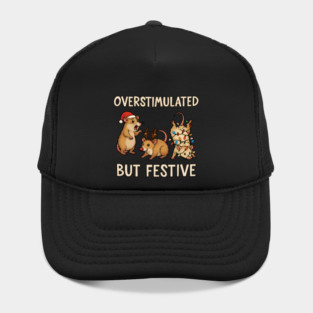 christmas-humor Hat