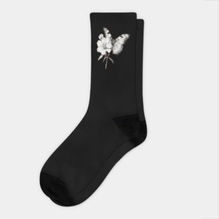Black and White Butterfly Socks