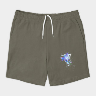 Hummingbird Shorts