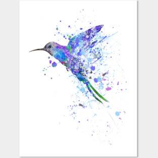 Hummingbird Posters and Art