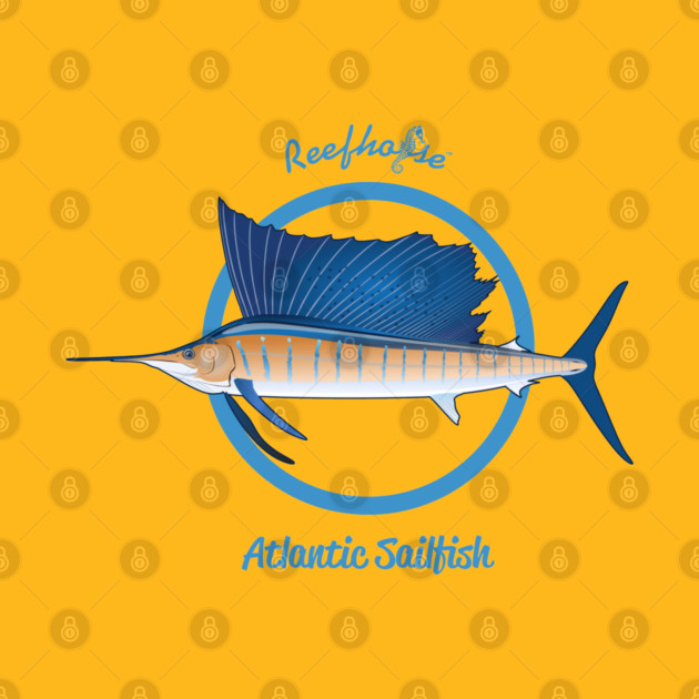Atlantic Sailfish by Reefhorse