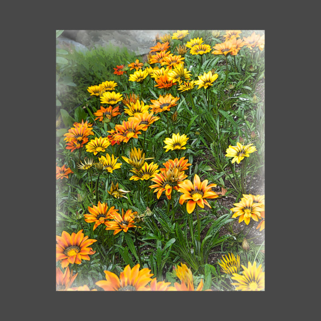 Orange And Yellow Blooms by KirtTisdale