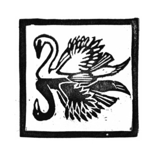 Swan Reflection T-Shirt