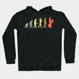 Retro Snowboarding Evolution Gift For Snowboarders Hoodie