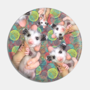 Opossum Pile! Pin