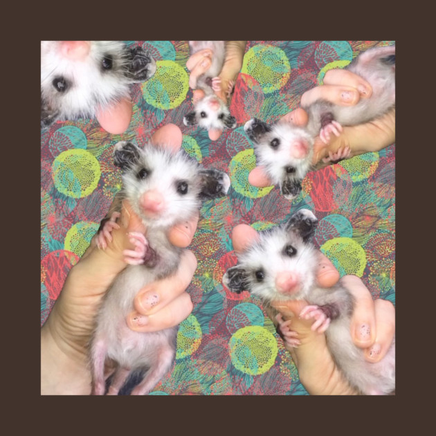 Opossum Pile! by Opossum Nation Gear!