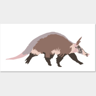 Aardvark Posters and Art