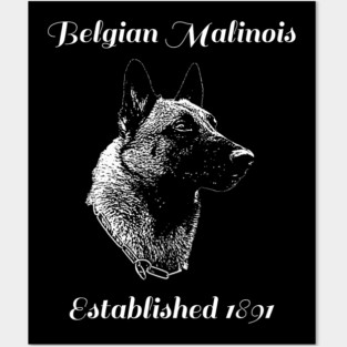 Belgian Malinois - Est. 1891 Posters and Art