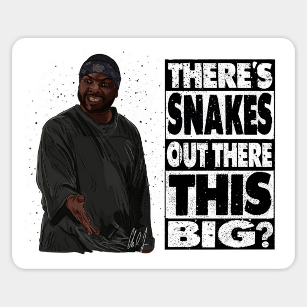 Anaconda: Big Ol' Snake Skin Magnet by 51Deesigns