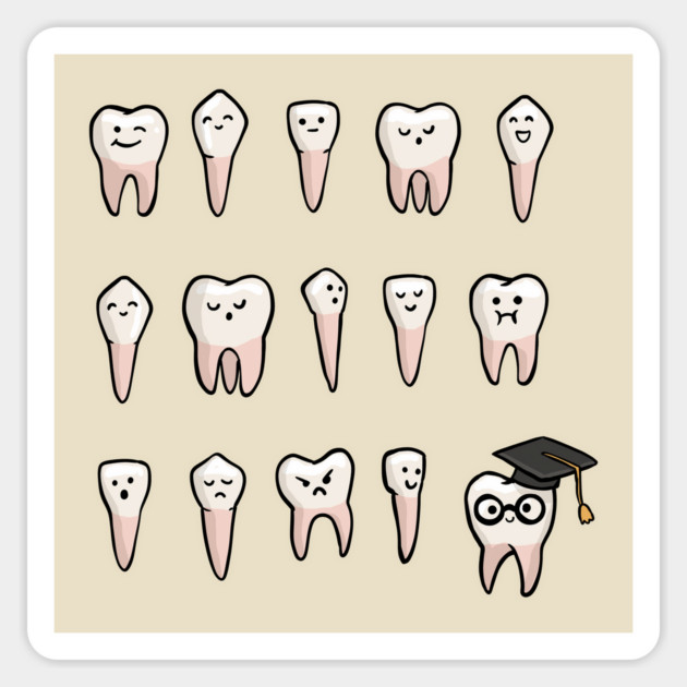 Wisdom Teeth Magnet by GoshWow®