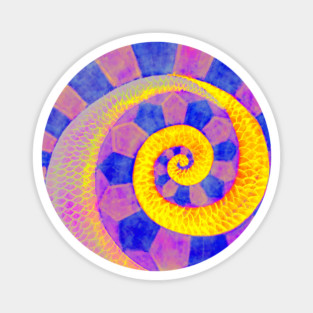 Snail - Surreal Spiral - Colorful & Abstract Magnet