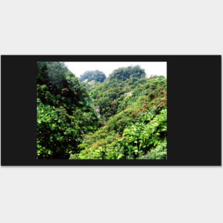 Roadside Hawaiian Waterfall Posters and Art