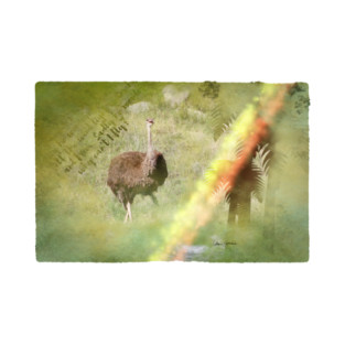 An Ostrich's Life T-Shirt