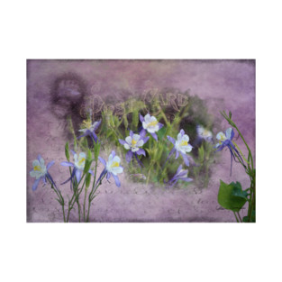 Purple Columbine Flowers T-Shirt