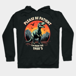 Please be patient I'm from the 1900s Hoodie