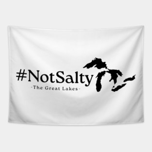 #NotSalty - Funny The Great Lakes - Black Tapestry