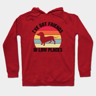 I've Got Friends In Low Places, Retro Vintage Funny Cute Dachshund Dog Lover Hoodie