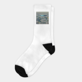 Flat Earth World Socks