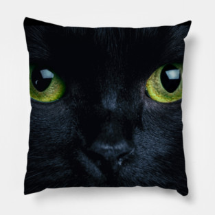 Black Cat Pillow