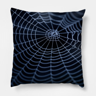 Spider Web Pillow