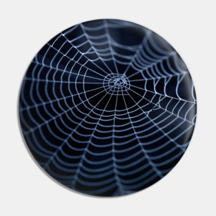 Spider Web Pin