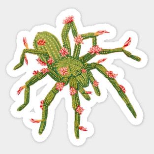 Tarantula Cactus Sticker