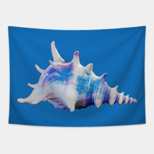 Single Seashell with Prominent Spikes and a Swirling Pattern Tapestry