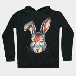 Rabbit Stardust Pt.2 Hoodie