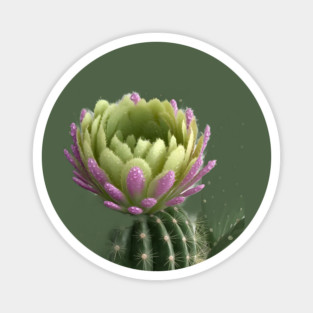 Cactus With a Blooming Flower on Top, Covered in Water Droplets Magnet