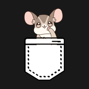Sugar Glider Pocket T-Shirt
