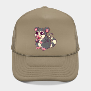 Garbage the Possum Hat