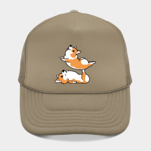 Acroyoga Corgi Hat