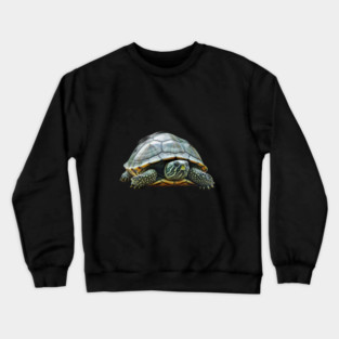 Turtle with a Beautifully Patterned Shell and Skin, Facing Forward Crewneck Sweatshirt