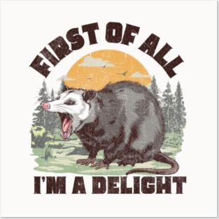 Opossum Posters and Art